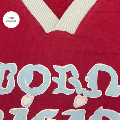 The Born Original v neck Diego jumper in Maroon